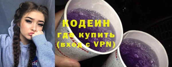ПСИЛОЦИБИНОВЫЕ ГРИБЫ Арсеньев