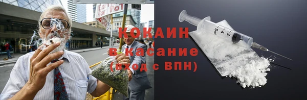 ПСИЛОЦИБИНОВЫЕ ГРИБЫ Арсеньев